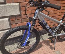 Carrera mountain bike