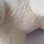 Schleich 2005 Polar Bear Image 3