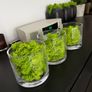 Glass vases x 3 with artificial moss Image 6