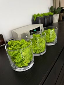 Glass vases x 3 with artificial moss