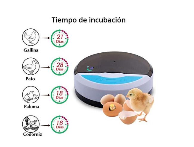 Digital Incubator for hatching eggs 9/12