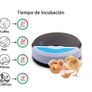 Digital Incubator for hatching eggs 9/12 Image 4