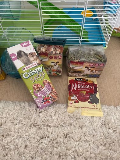 Complete Hamster Starter Kit