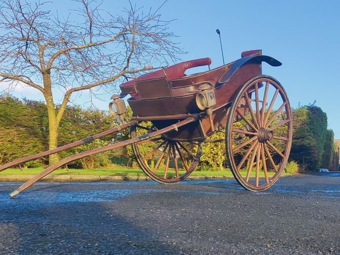Horse Carriage
