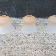 Light shades