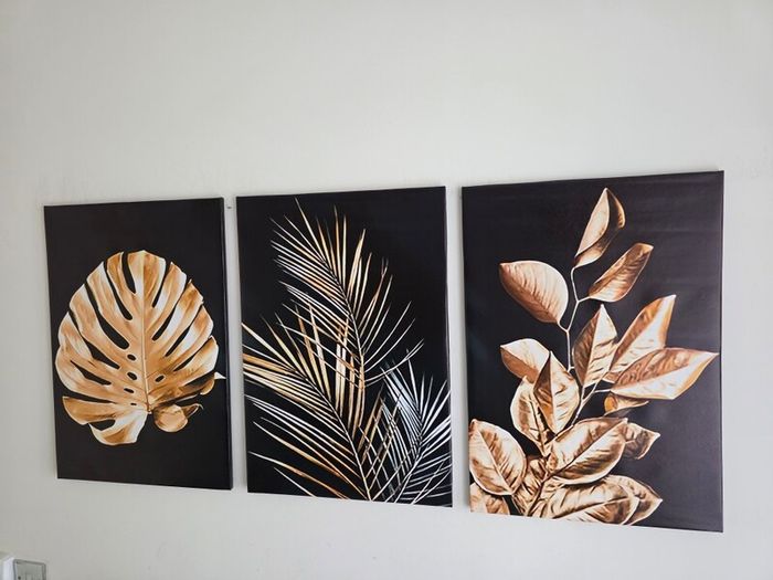 3 framed printed canvas 45x65cm