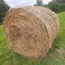 Hay for sale near roadside Image 2