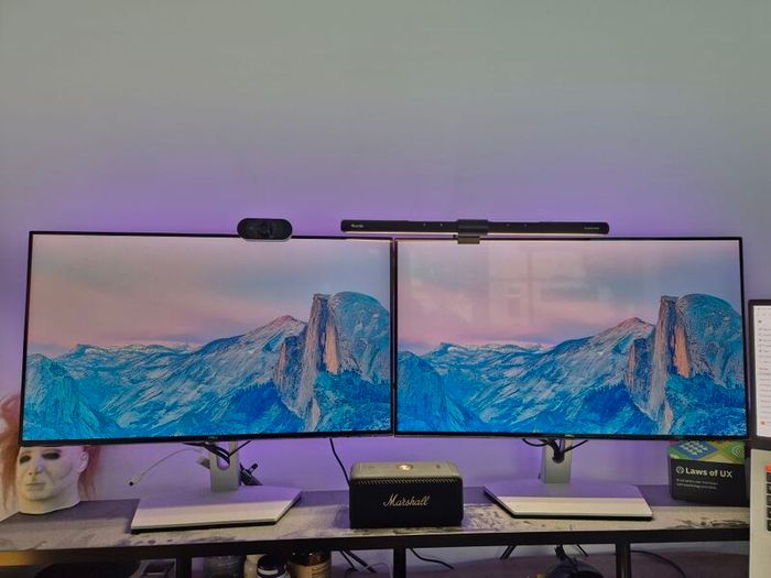 Dell 24" IPS Monitors (2 Monitors) - Excellent Condition