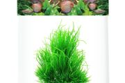 Aqua Nova Artificial Plant 21cm NP-21 6015-R
