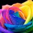 LoveMeKnot3