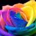 LoveMeKnot3