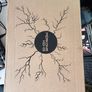 Erica Synths Perkons HD-01 Image 5