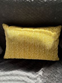 Cushion