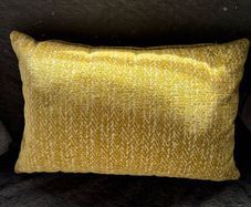 Cushion