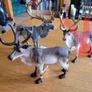 Schleich Animals - Wild life + Reindeers Image 5