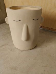 vase or plant pot