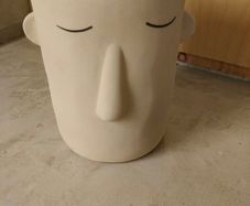 vase or plant pot
