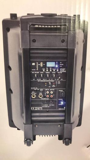 10 Inch PA Speaker with Wireless Neckband Microphone