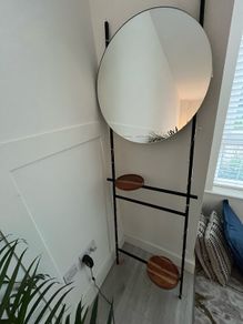 Mirror ladder