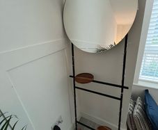 Mirror ladder