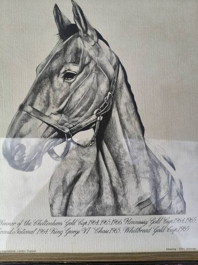 Arkle Framed Drawing/Print