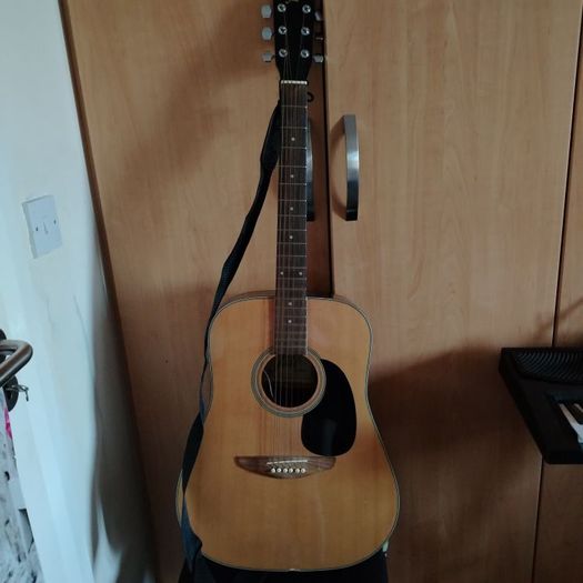 Semi-acoustic Guitar Jade W4-984