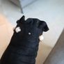 Mulanka black suede style boots uk4 Image 8