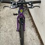 Frog Bike Image 3