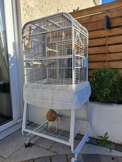 Large bird cage