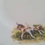 Vintage China Set Brand New Image 9