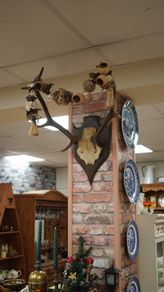 French Oak Antler Wall Mount 3