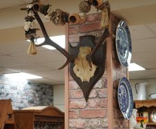 French Oak Antler Wall Mount 3