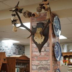 French Oak Antler Wall Mount 3