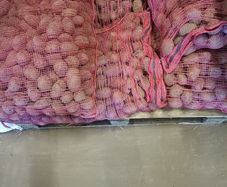 Seed Potatoes