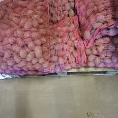 Seed Potatoes