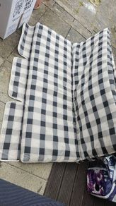 Swing/bench cushion 145x100