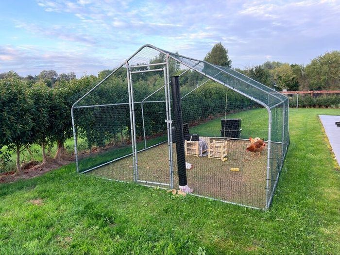 Chicken coop with two hens