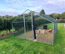 Chicken coop with two hens
