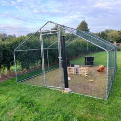 Chicken coop with two hens