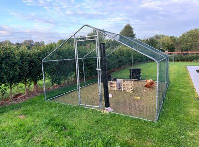 Chicken coop with two hens
