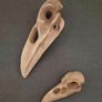 1/1  resin copy of a raven and a crow skull. Image 4