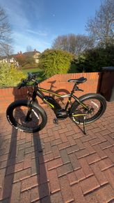 peddle assisted electric bike