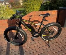 peddle assisted electric bike