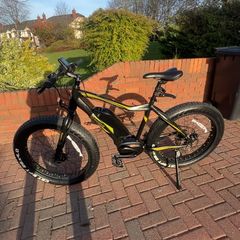 peddle assisted electric bike