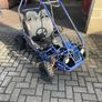 Buggy Image 2