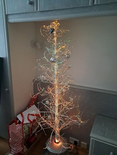 outdoor Christmas tree
