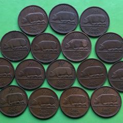Irish Half Pennys