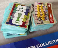 Panini World Cup Stickers
