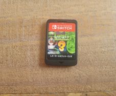 Luigi's Mansion 3 (Nintendo Switch Game Cartridge)
