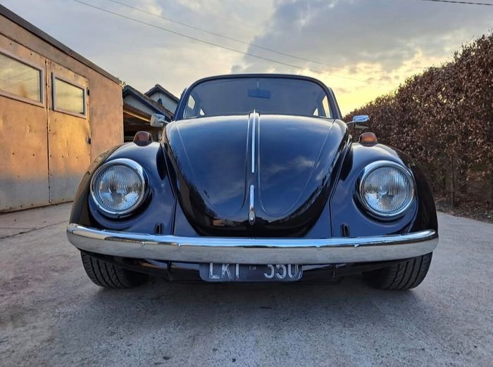 vw beetle